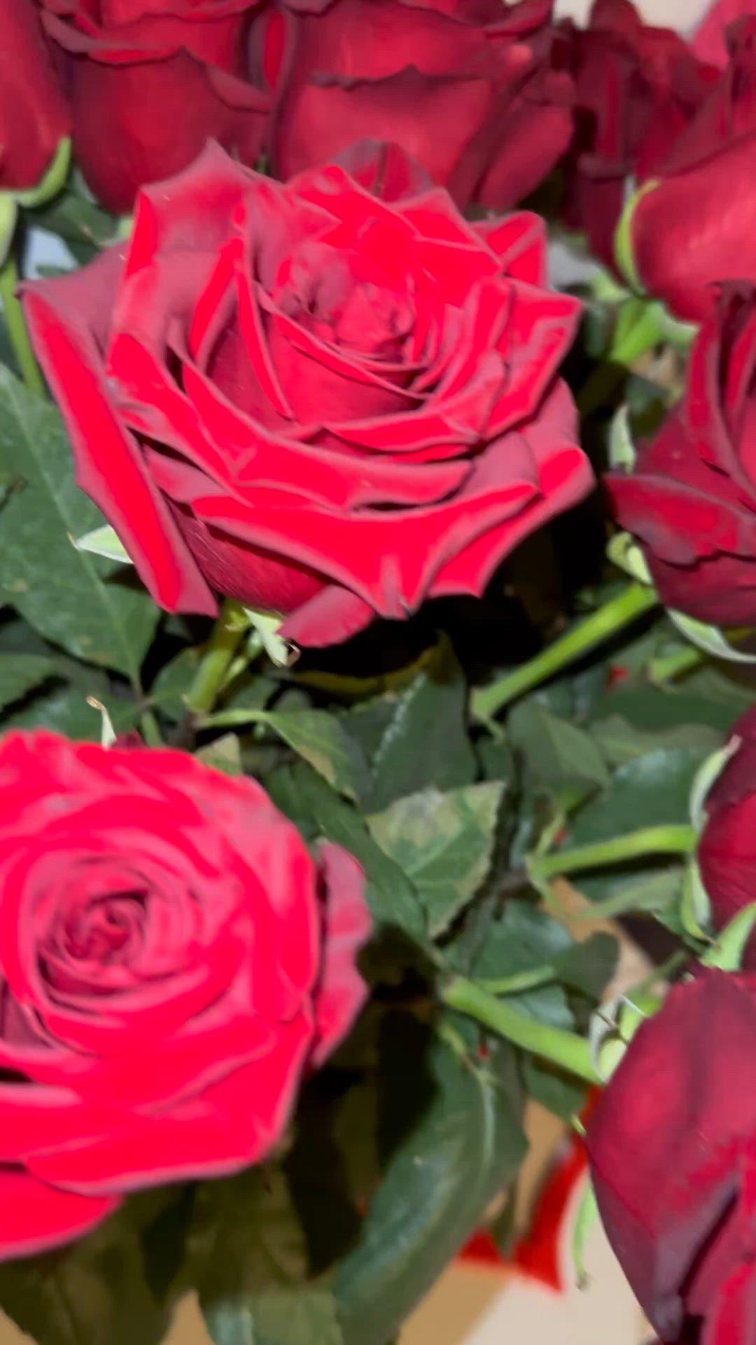 Enchanted Blossom Waltz: A Fairytale Bouquet